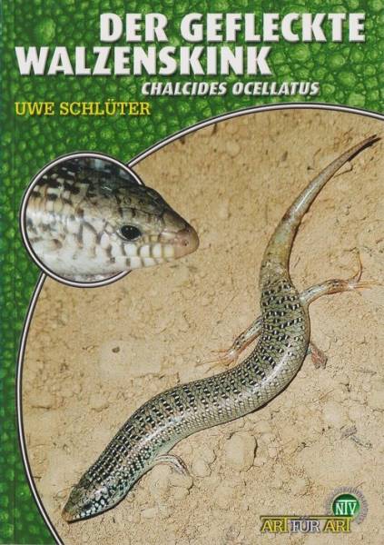 Der Gefleckte Walzenskink